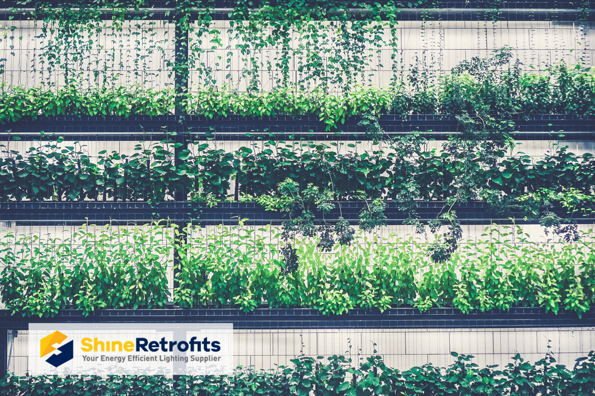 Shine Retrofits Brand Spotlight: Illumitex