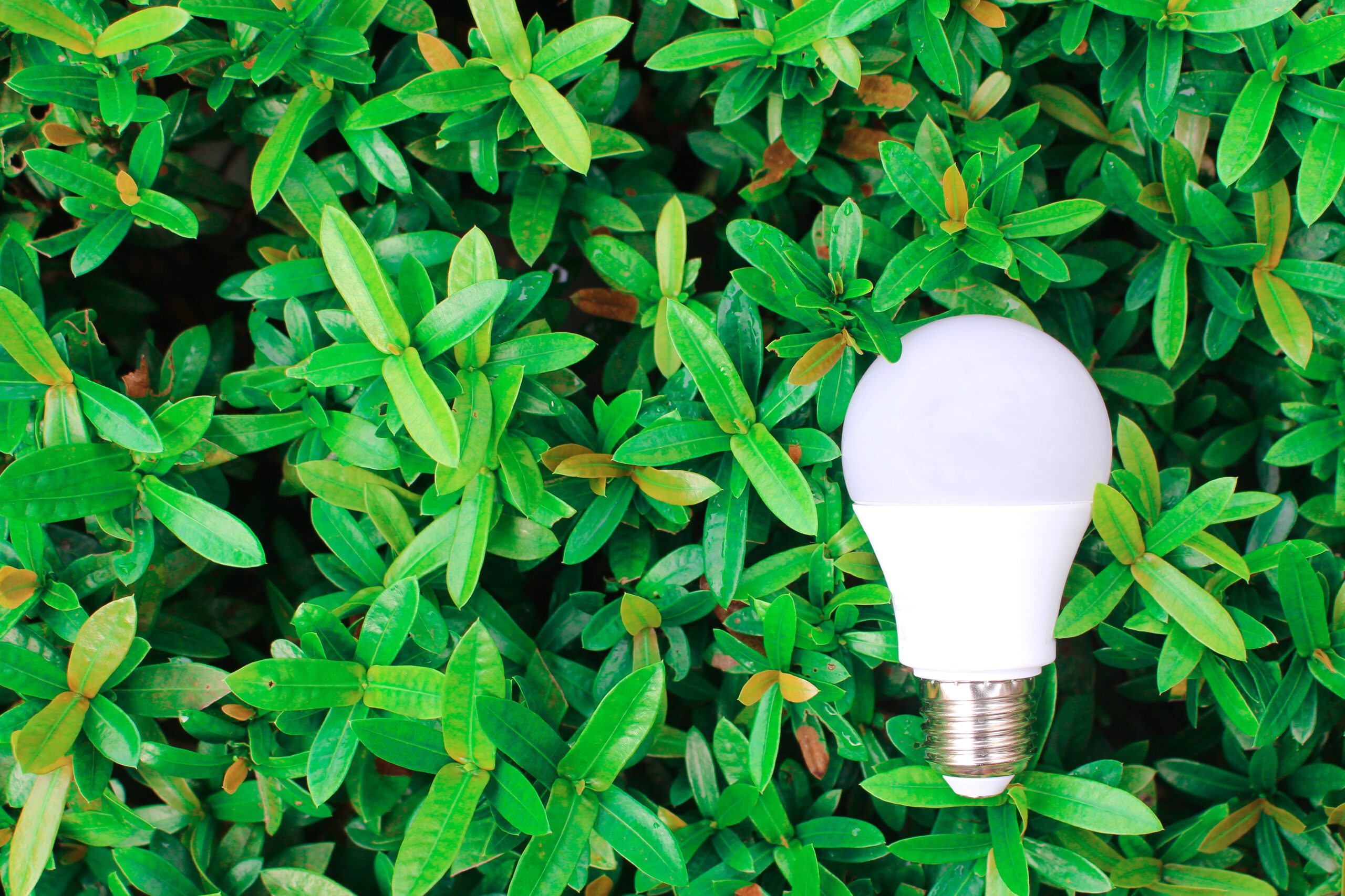 Why Energy Efficient Lighting is Important