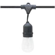American Lighting LS-MS-24 Suspended E26 Base Commercial Grade Light String 120V - 25W Max per Socket