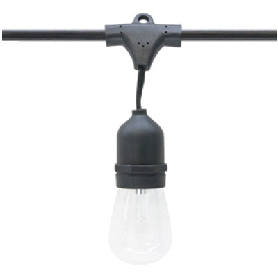 American Lighting LS-MS-24 Suspended E26 Base Commercial Grade Light String 120V - 25W Max per Socket