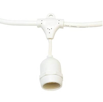 American Lighting LS-MS-24 Suspended E26 Base Commercial Grade Light String 120V - 25W Max per Socket