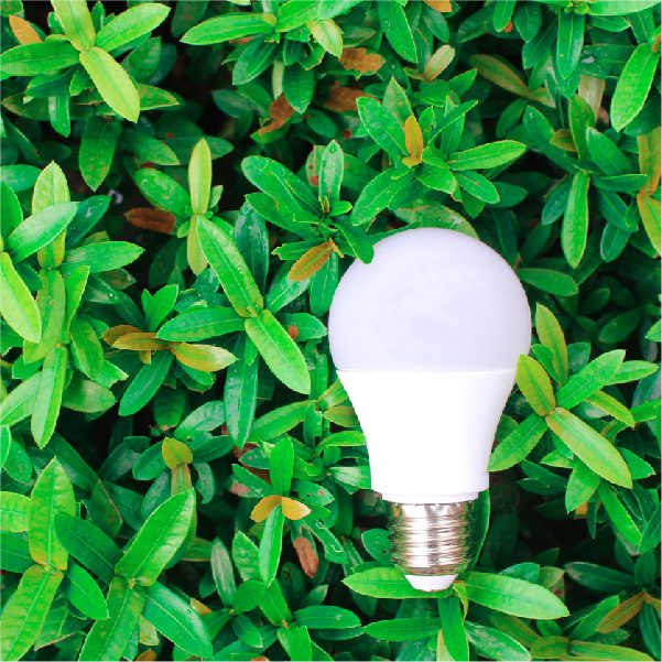 light bulb in grass