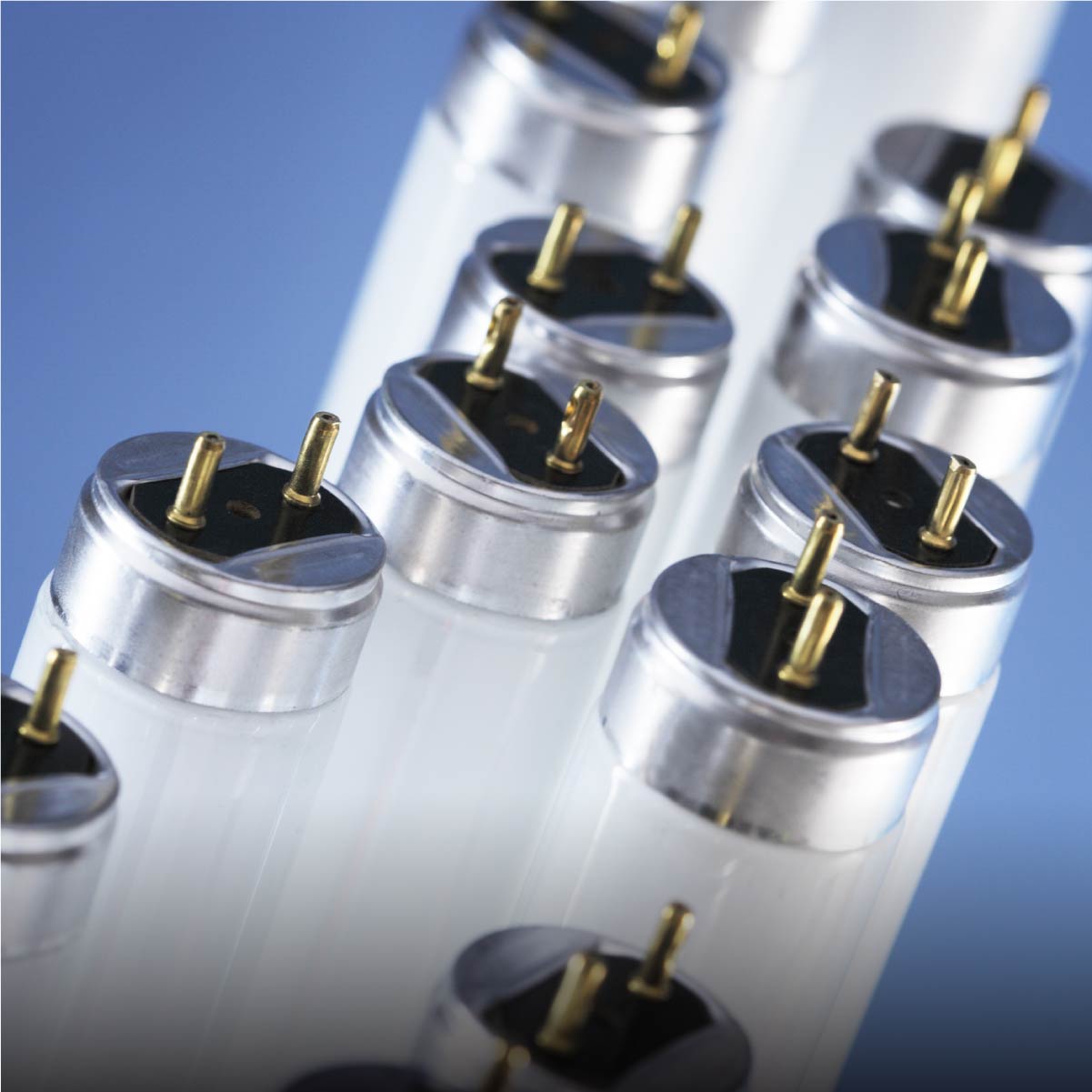 Fluorescent Lights from Shine Retrofit