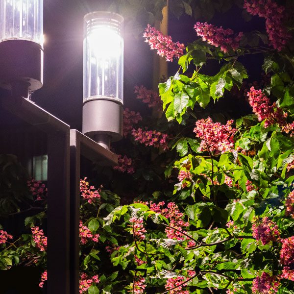 Outdoor Lighting