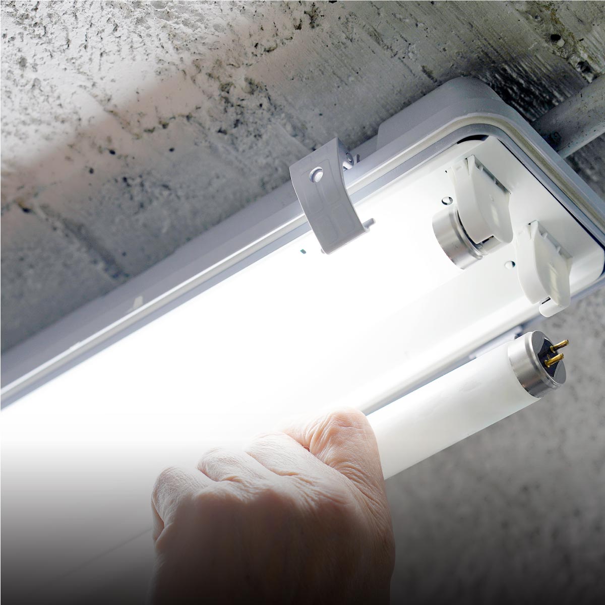 Shine Retrofits Fluorescent Install and Maintenance