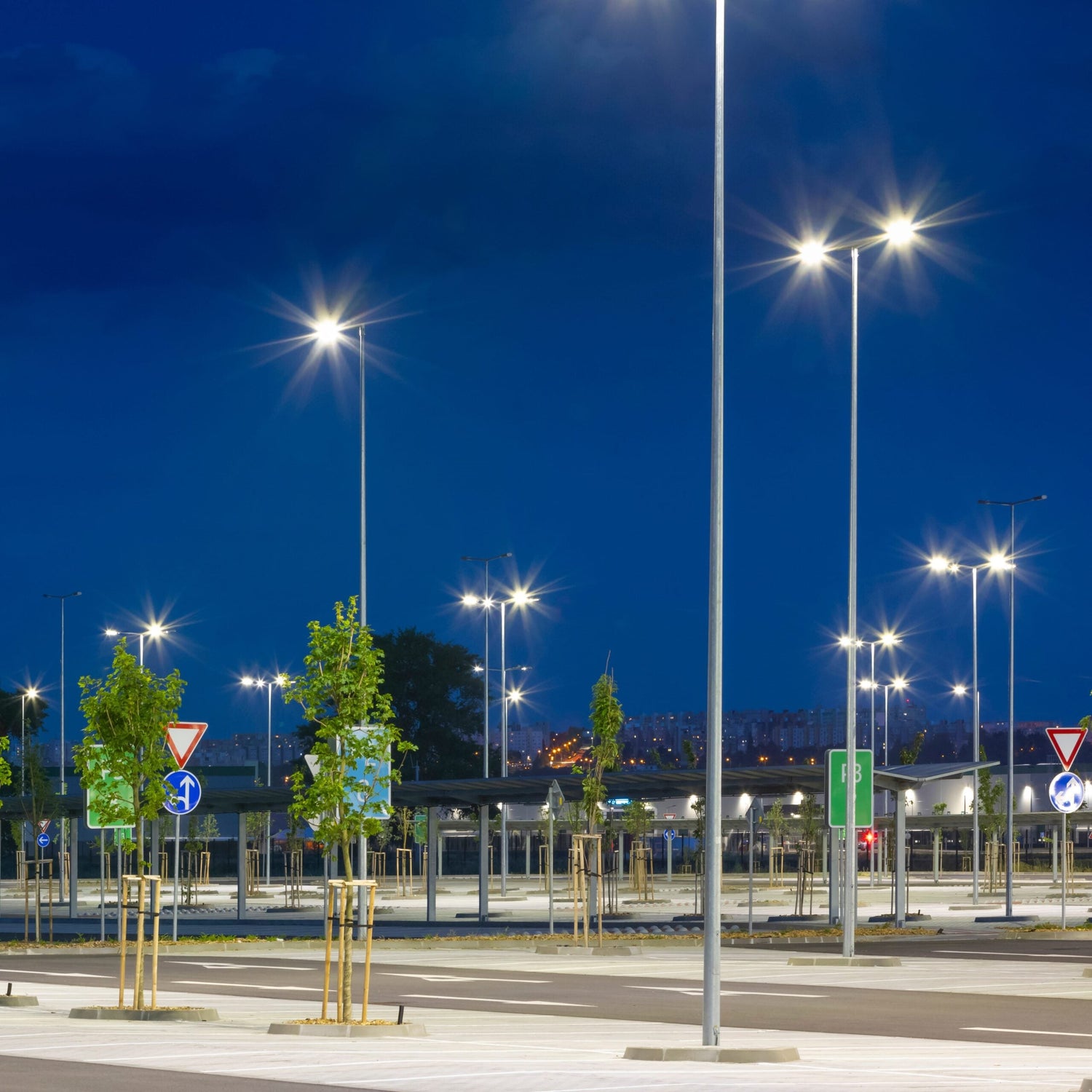 Brand Spotlight: Arcadia Lighting