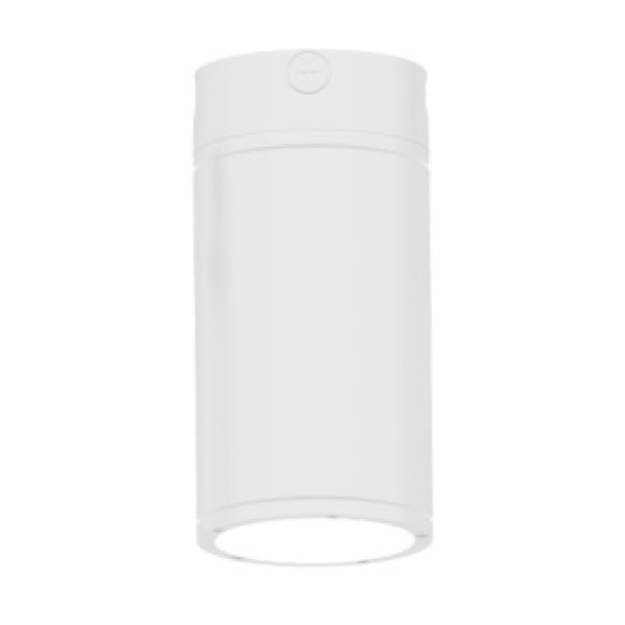 Dauer DLED-6040D LED Architectural Cylinder Light Fixture