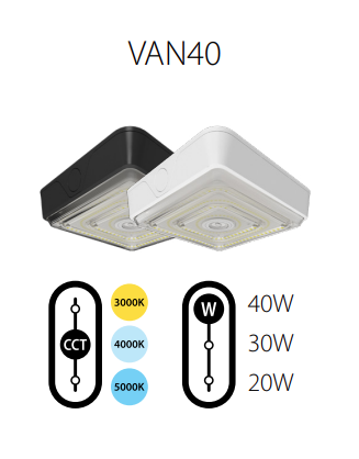 RAB VAN Garage/ Canopy Light with Field Adjustable Wattage and Color Temp
