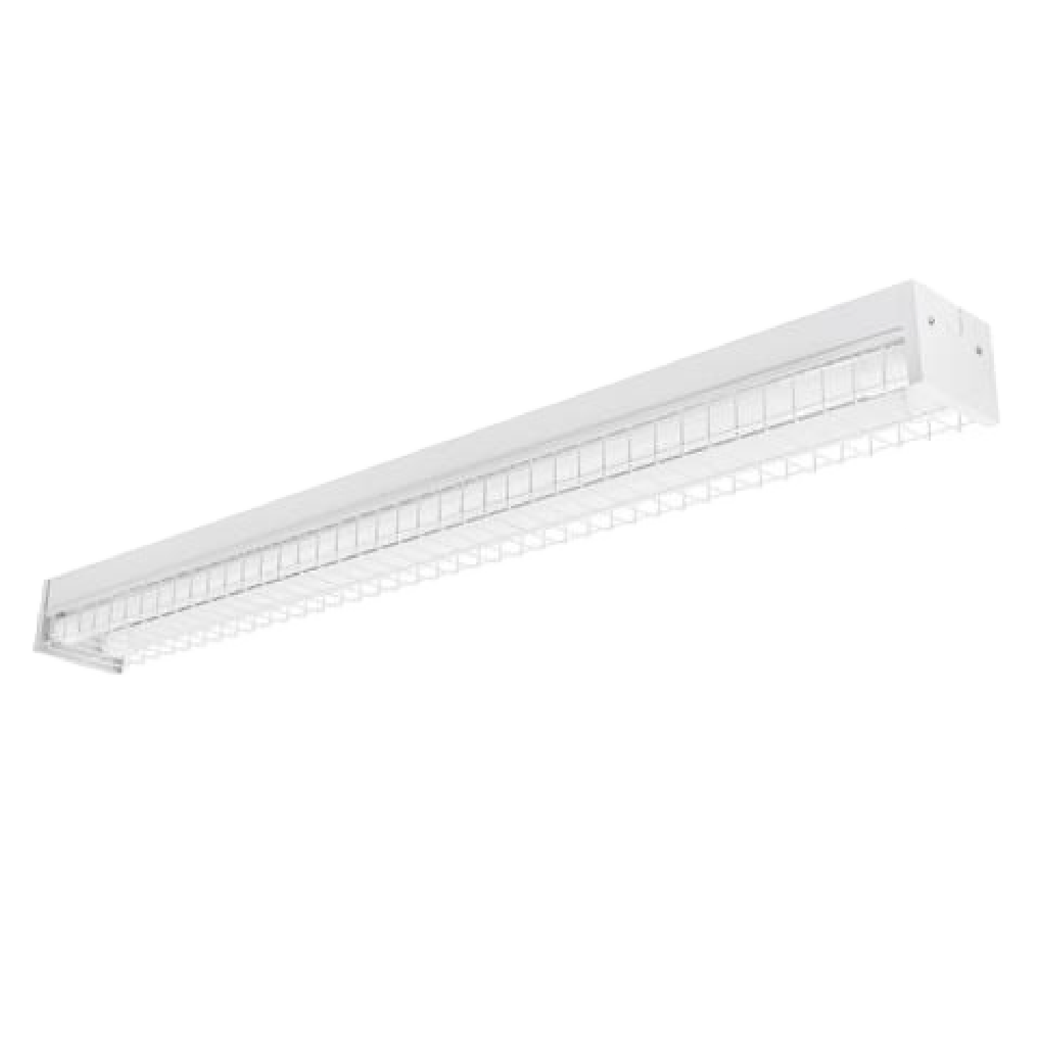 Toggled FS420W0 4FT LED 2 Tube Capacity Surface Mount Fixture with Wire Guard