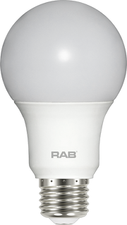 RAB Lighting A19-6-E26 6-Watt A19 Frosted Bulb Non-Dimmable 40W Incandescent Equivalent