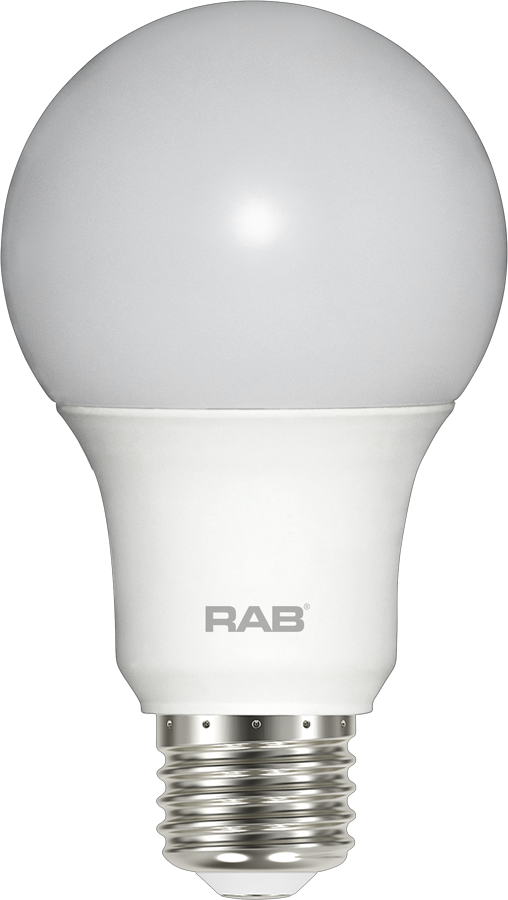 RAB Lighting A19-6-E26 6-Watt A19 Frosted Bulb Non-Dimmable 40W Incandescent Equivalent