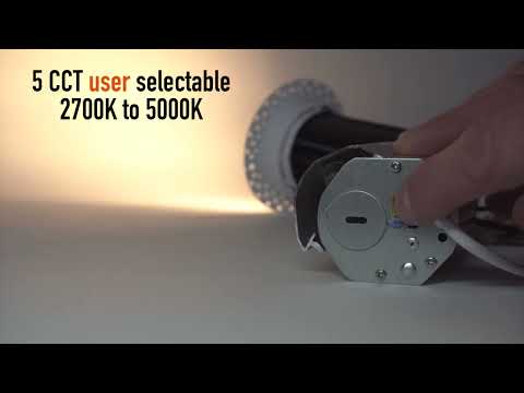 Lotus LED-2-S15W-T 2-Inch Trimless Recessed 15-Watt LED High Output Downlight TRIAC Dimming - 4