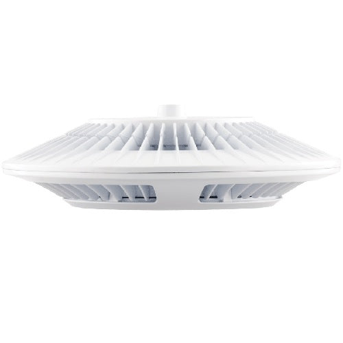 RAB Lighting PLED52 52 Watt LED Pendant Canopy Light Fixture 120-277V 