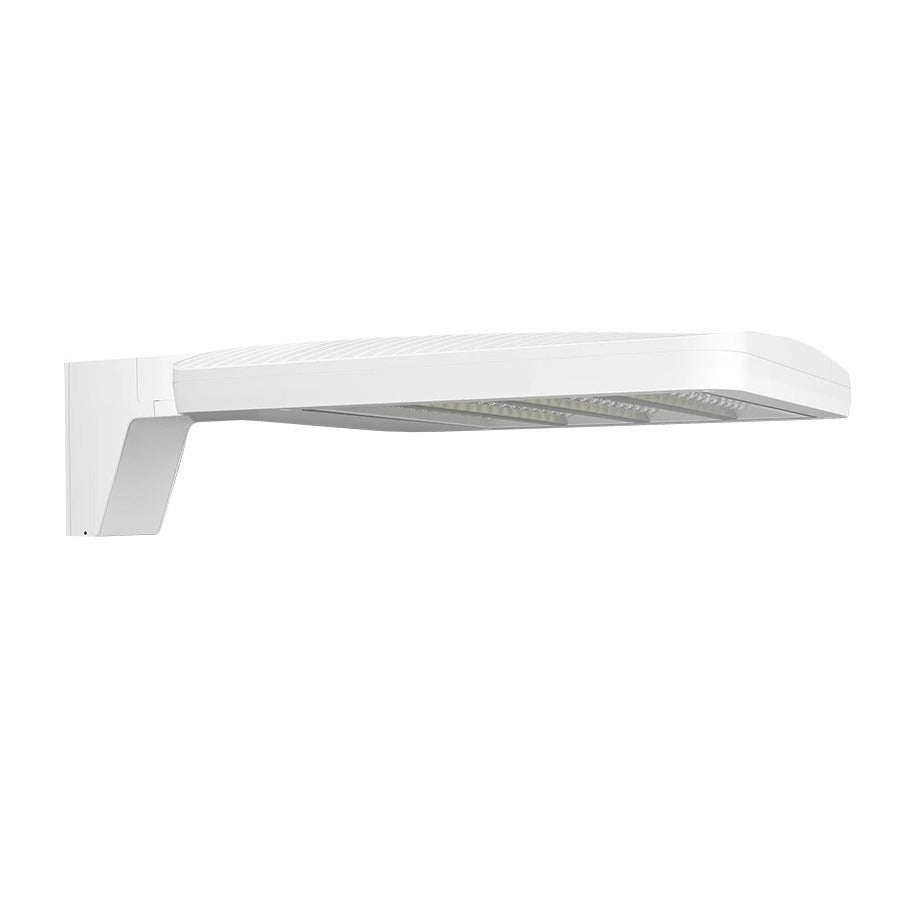 RAB Lighting ALEDM3TNW/7PR Field Adjustable Medium LED Area Light Fixture Type III Distribution Dimmable