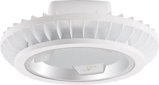 RAB Lighting BAYLED78 78 Watt LED High Bay Light Fixture with Hook and Cord White Finish