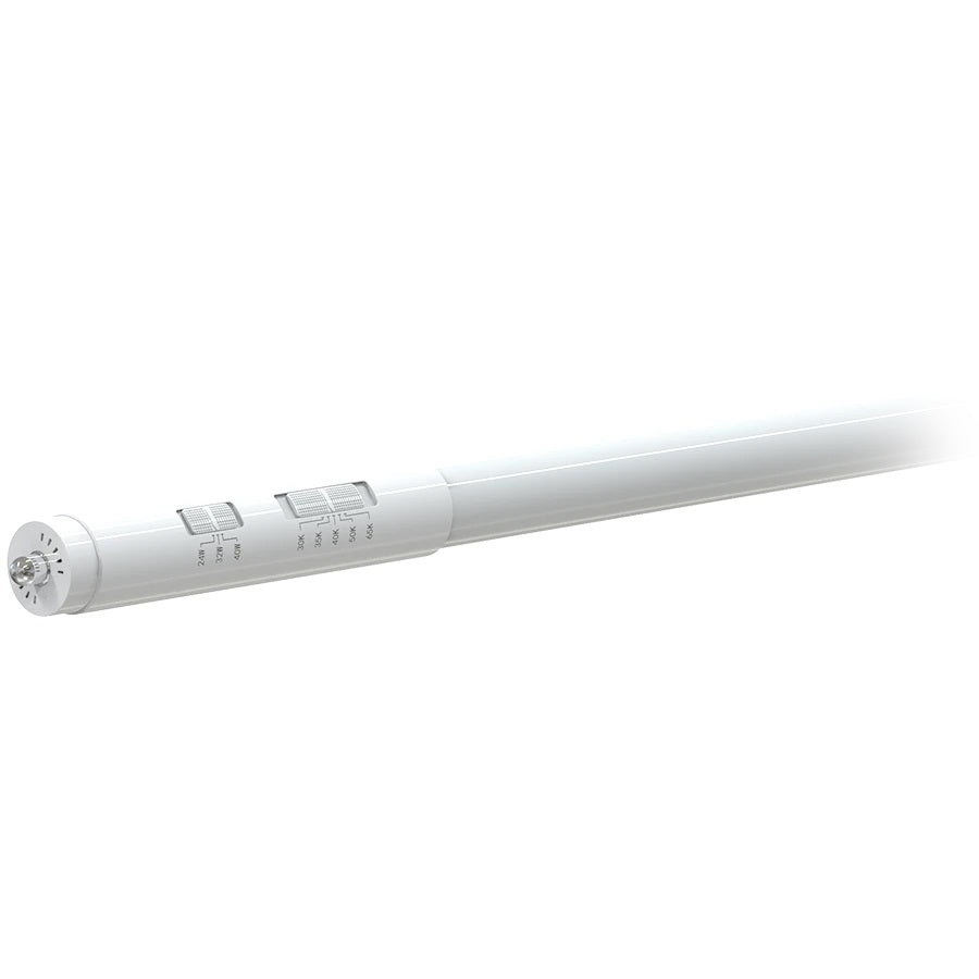 RAB Lighting T8-96G-DE-BYP Power and CCT Field-Adjustable 8-foot T8 LED Ballast Bypass Type B Linear Tube Lamp