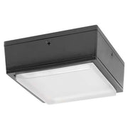 RAB Lighting VANLED20 20 Watt Vandal Resistant LED Canopy Light Fixture