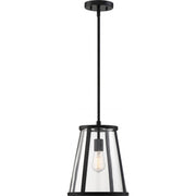 Satco 60-6699 Bruge Transitional Style 1-Light Steel Glass Pendant Fixture