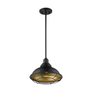 Satco 60-7014 Newbridge Farmhouse Style 1-Light 12-Inch Large Steel Pendant Fixture