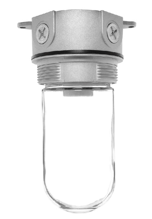 RAB Lighting VX100 150 Watt Vaportight Jar Style Fixture with E26 socket