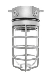 RAB Lighting VX100DG 150 Watt Vaportight Jar Style Fixture with Glass Globe Die Cast Guard