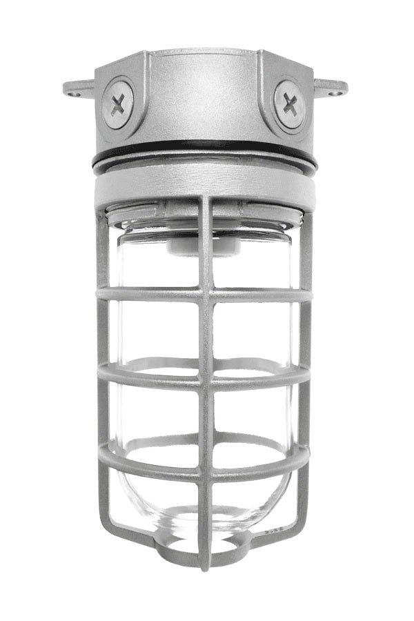 RAB Lighting VX100DG 150 Watt Vaportight Jar Style Fixture with Glass Globe Die Cast Guard