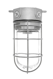 RAB Lighting VX100G 150 Watt Vaportight Jar Style Fixture with Glass Globe Wire Guard