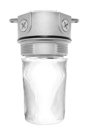 RAB Lighting VX100PW 150 Watt Vaportight Jar Style Fixture with White Perma Globe