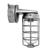 RAB Lighting VXBR100DG Vaporproof Wall Bracket 4in Box with Glass Globe Cast Guard