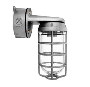 RAB Lighting VXBR100DG Vaporproof Wall Bracket 4in Box with Glass Globe Cast Guard