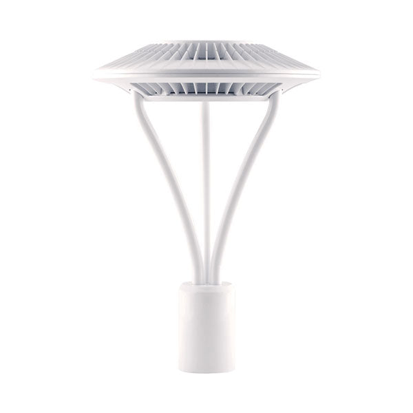 White Fixture RAB Lighting ALED5T52 52 Watt LED Post Top Area Light Fixture Type V Distribution