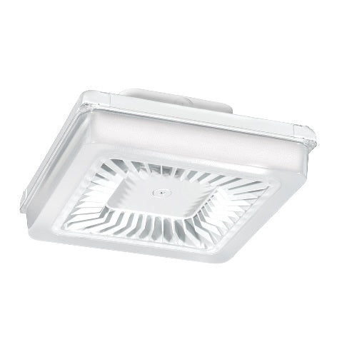 RAB Lighting PRT42 42 Watt LED Garage Light Fixture with Vandal Resistant Polycarbonate Lens